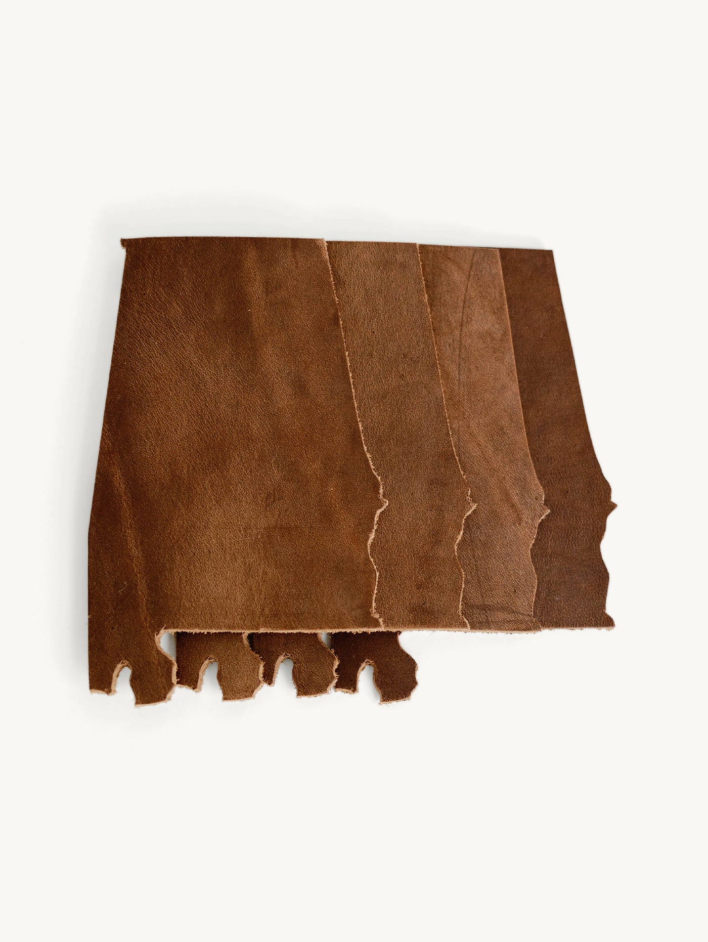 Alabama State Coasters