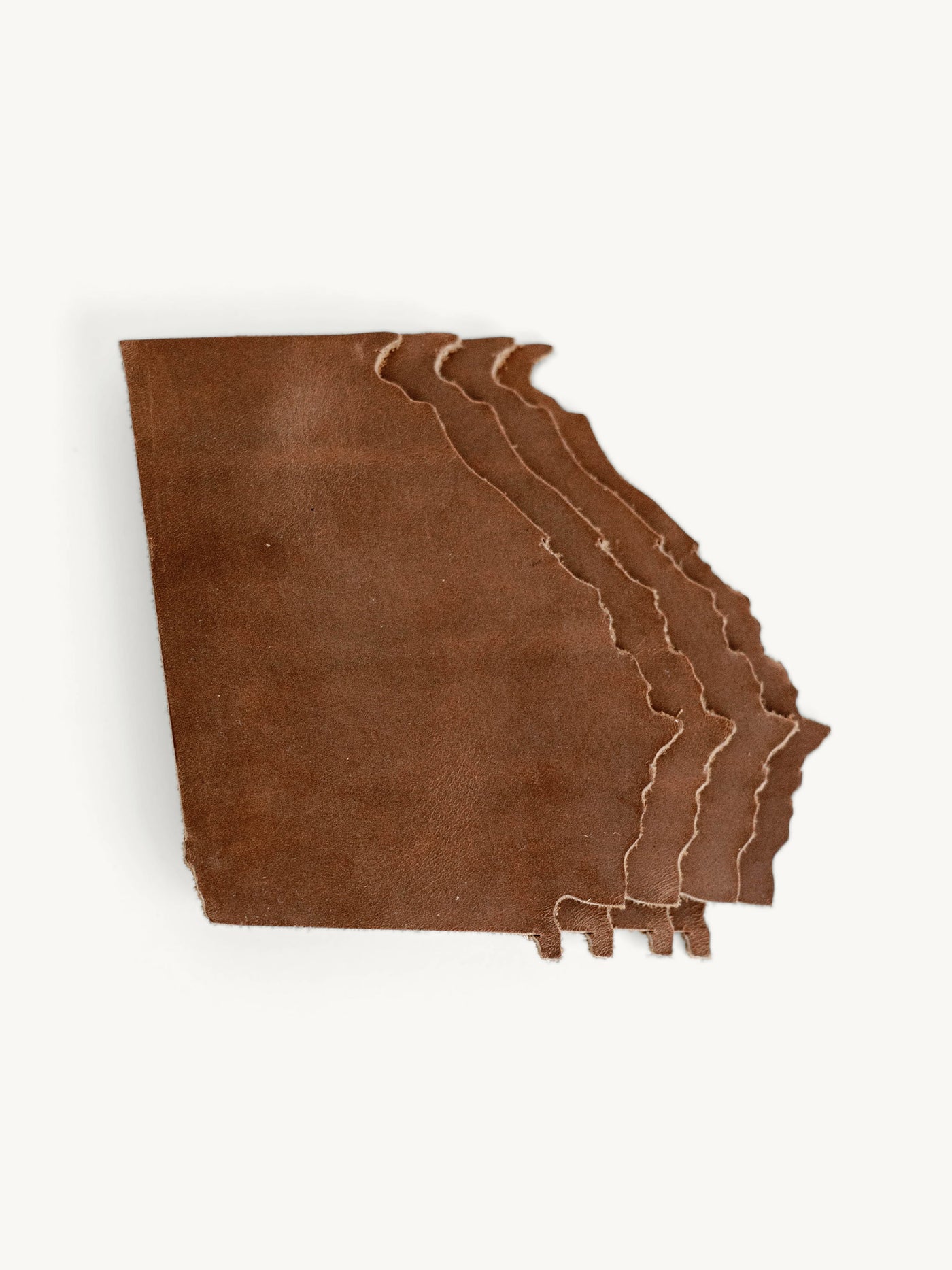 Georgia State Shape Coasters