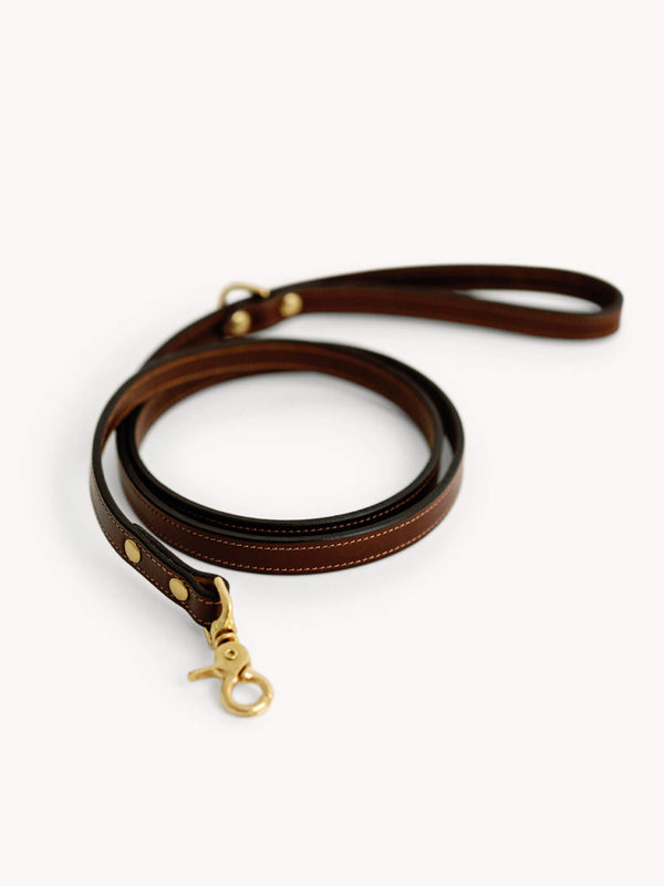Dog Lead