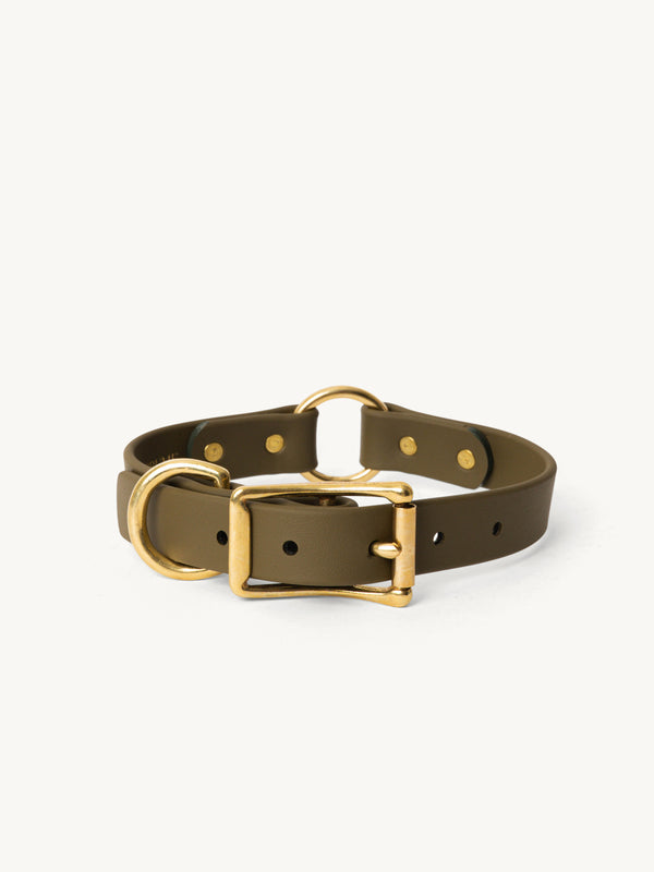 Sporting Collar