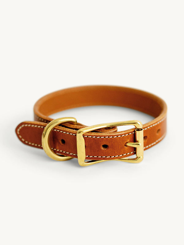 Dog Collar