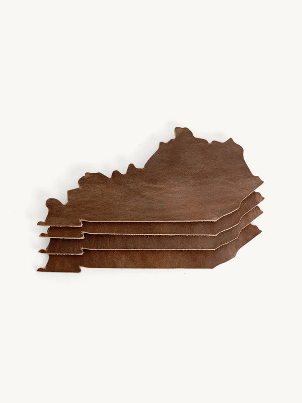 Kentucky State Shape Coasters
