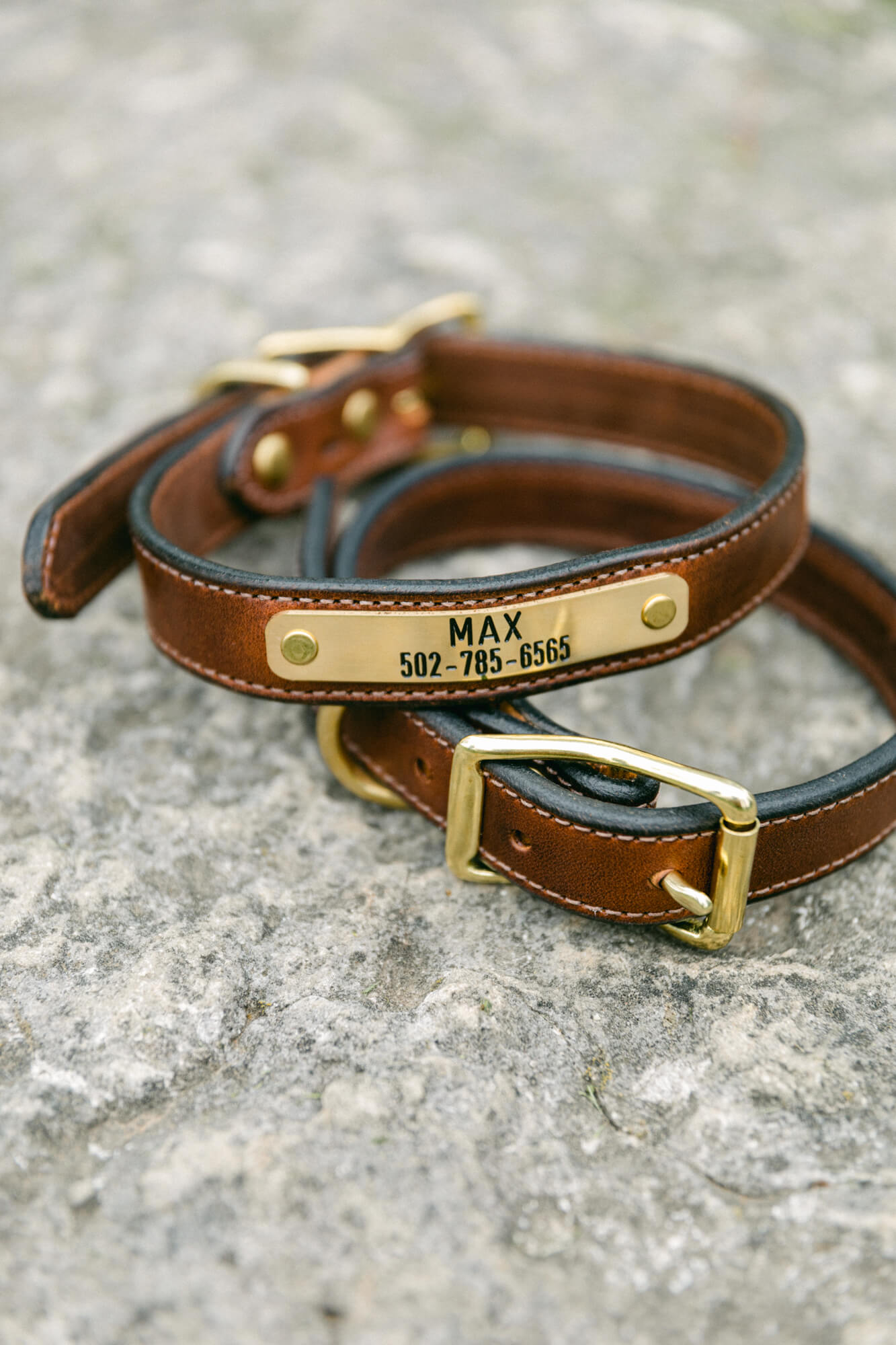 Dog collars best sale leather with nameplate