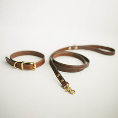 Pet Gear Bundle: Brown Bridle Dog Lead + Nameplate Dog Collar