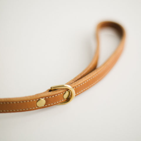 Antique Saddle Dog Lead