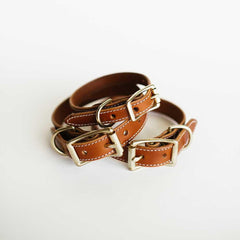 handcrafted leather dog collar