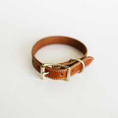 leather dog collar