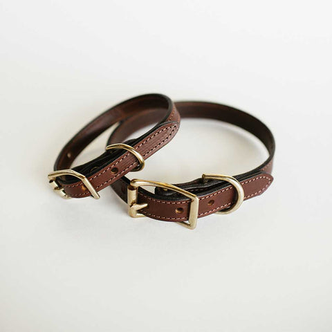 Brown Bridle Dog Collar
