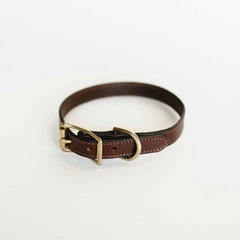 Brown Bridle Dog Collar